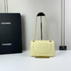 CN Classic Small Flap Bag 1110 BC CN Classic Small Flap Bag 1110 BC