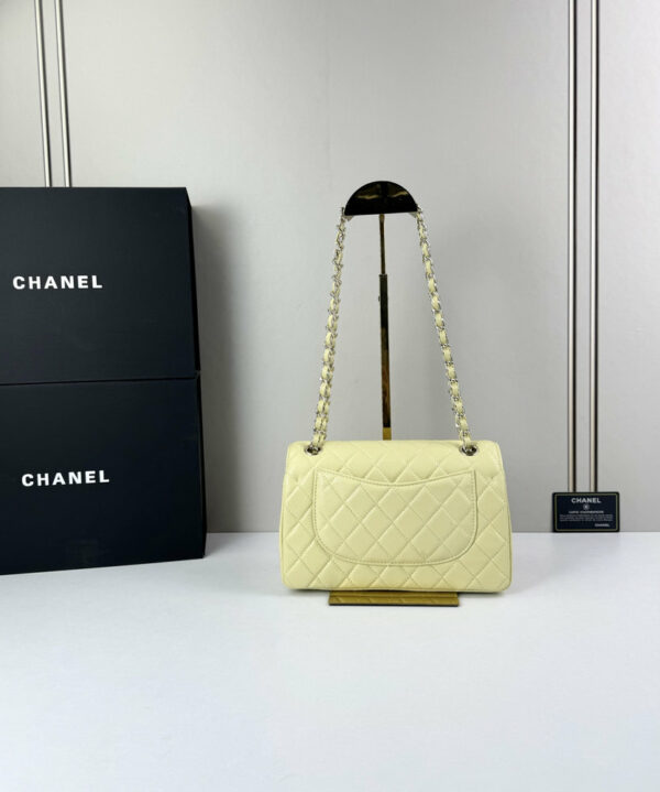 CN Classic Small Flap Bag 1110 BC CN Classic Small Flap Bag 1110 BC