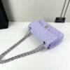 CN Classic Small Flap Bag 1110 BC CN Classic Small Flap Bag 1110 BC