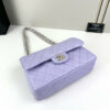 CN Classic Small Flap Bag 1110 BC CN Classic Small Flap Bag 1110 BC
