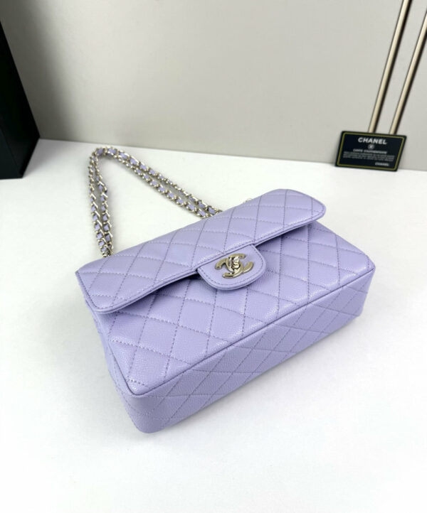 CN Classic Small Flap Bag 1110 BC CN Classic Small Flap Bag 1110 BC