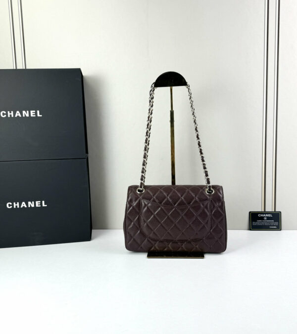 CN Classic Small Flap Bag 1110 BC CN Classic Small Flap Bag 1110 BC