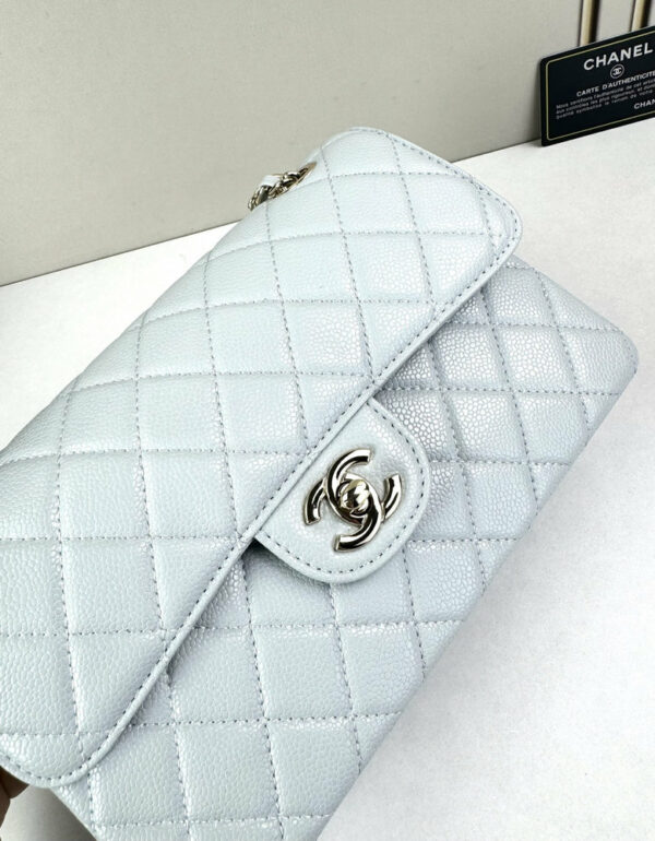 CN Classic Small Flap Bag 1110 BC CN Classic Small Flap Bag 1110 BC