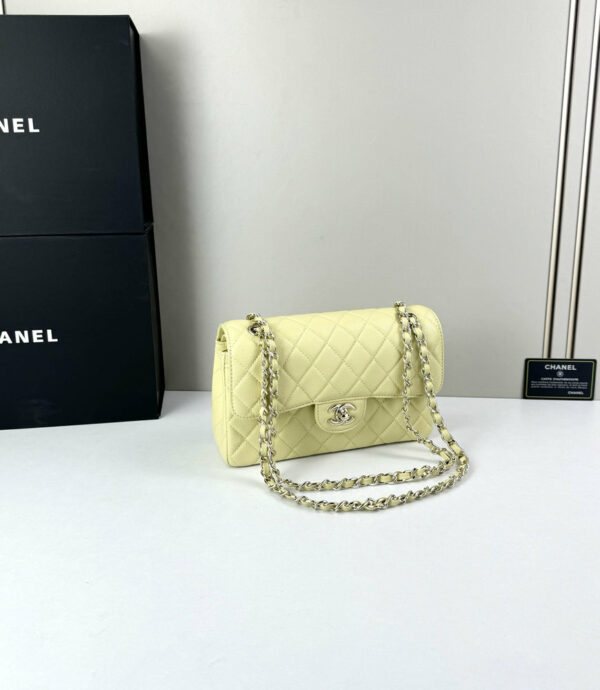 CN Classic Small Flap Bag 1110 BC CN Classic Small Flap Bag 1110 BC