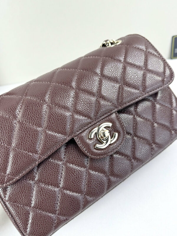 CN Classic Small Flap Bag 1110 BC CN Classic Small Flap Bag 1110 BC