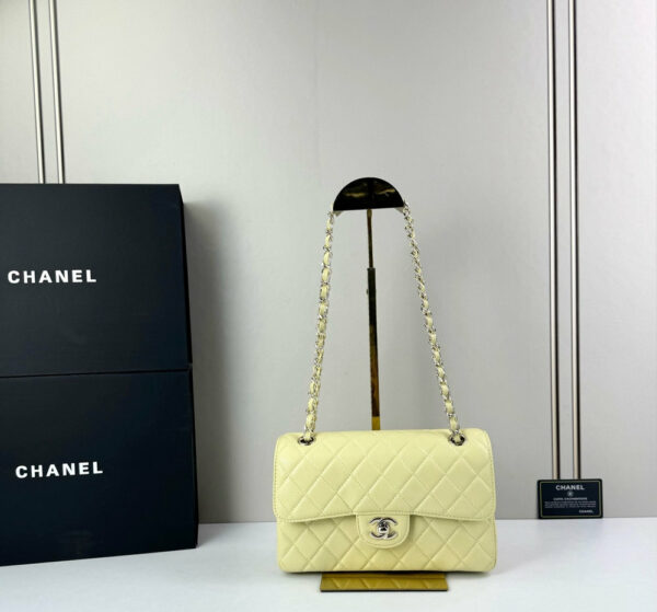 CN Classic Small Flap Bag 1110 BC CN Classic Small Flap Bag 1110 BC