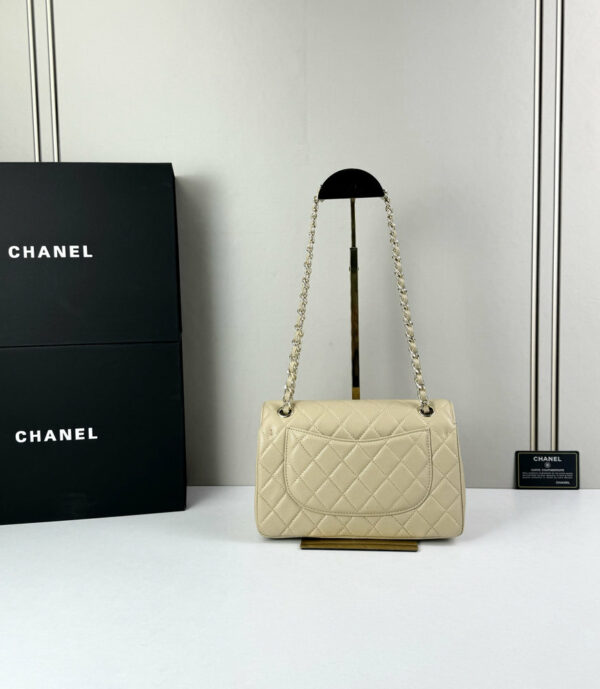 CN Classic Small Flap Bag 1110 BC CN Classic Small Flap Bag 1110 BC