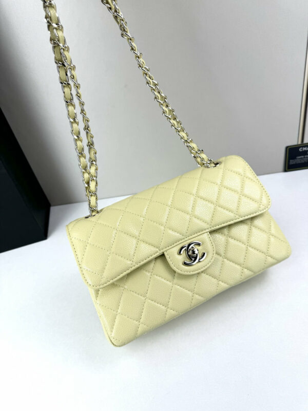 CN Classic Small Flap Bag 1110 BC CN Classic Small Flap Bag 1110 BC