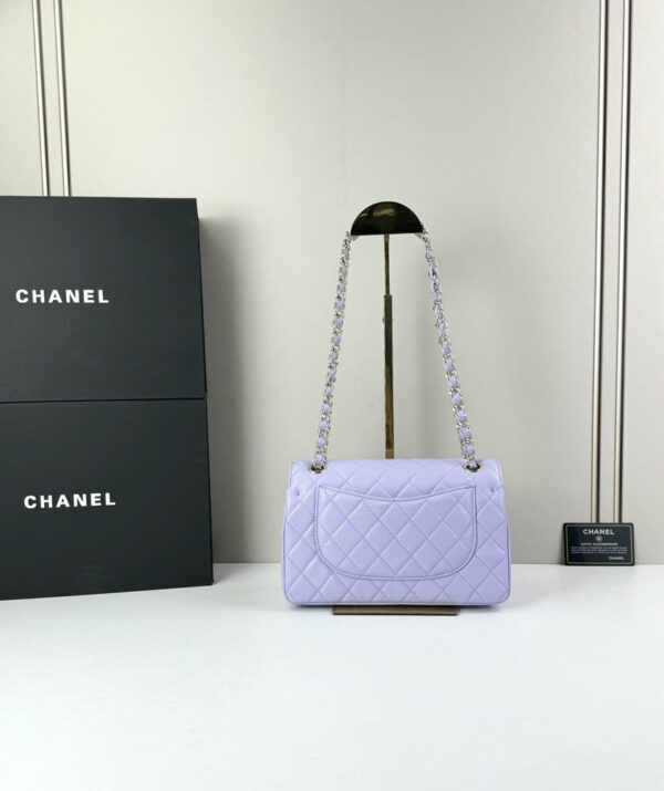CN Classic Small Flap Bag 1110 BC CN Classic Small Flap Bag 1110 BC