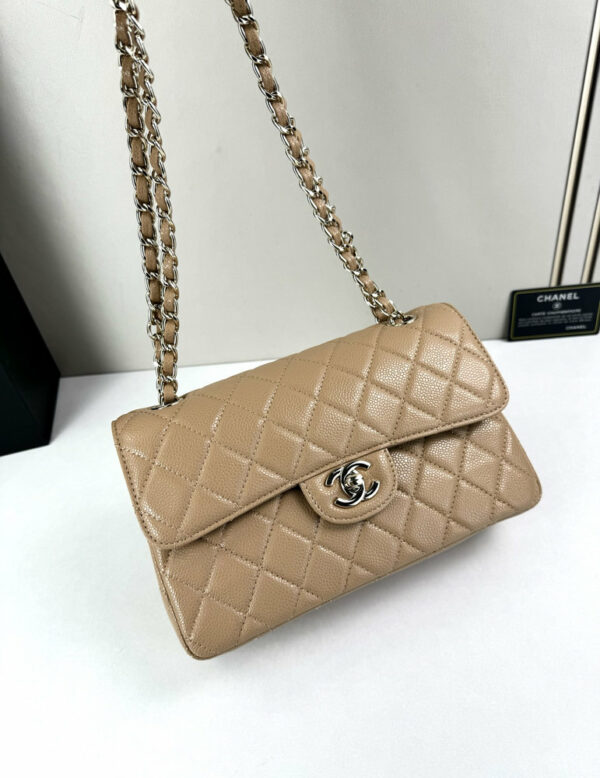 CN Classic Small Flap Bag 1110 BC CN Classic Small Flap Bag 1110 BC