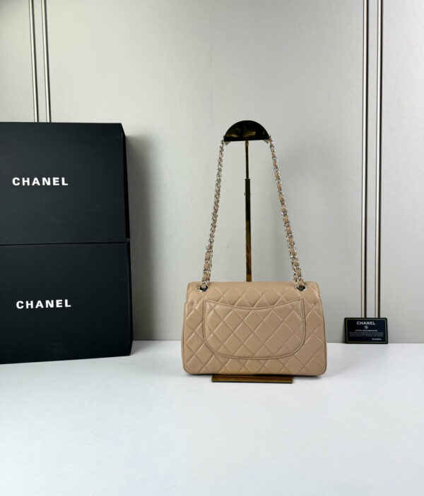 CN Classic Small Flap Bag 1110 BC CN Classic Small Flap Bag 1110 BC
