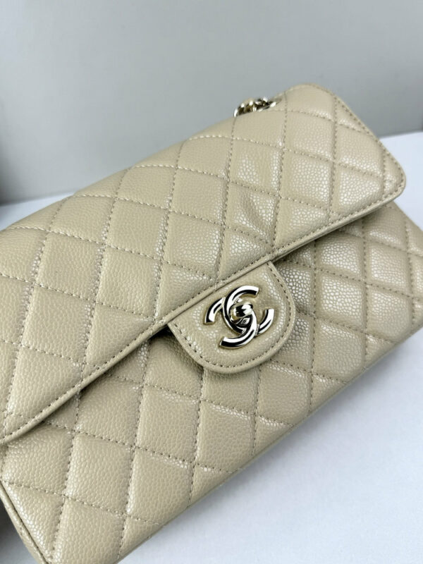 CN Classic Small Flap Bag 1110 BC CN Classic Small Flap Bag 1110 BC