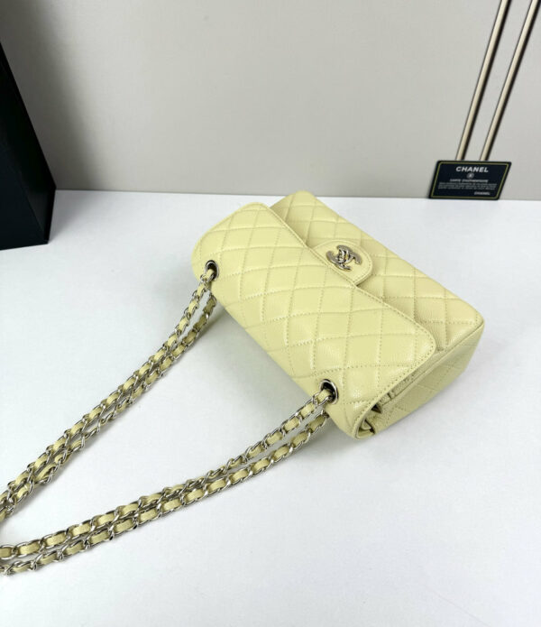 CN Classic Small Flap Bag 1110 BC CN Classic Small Flap Bag 1110 BC