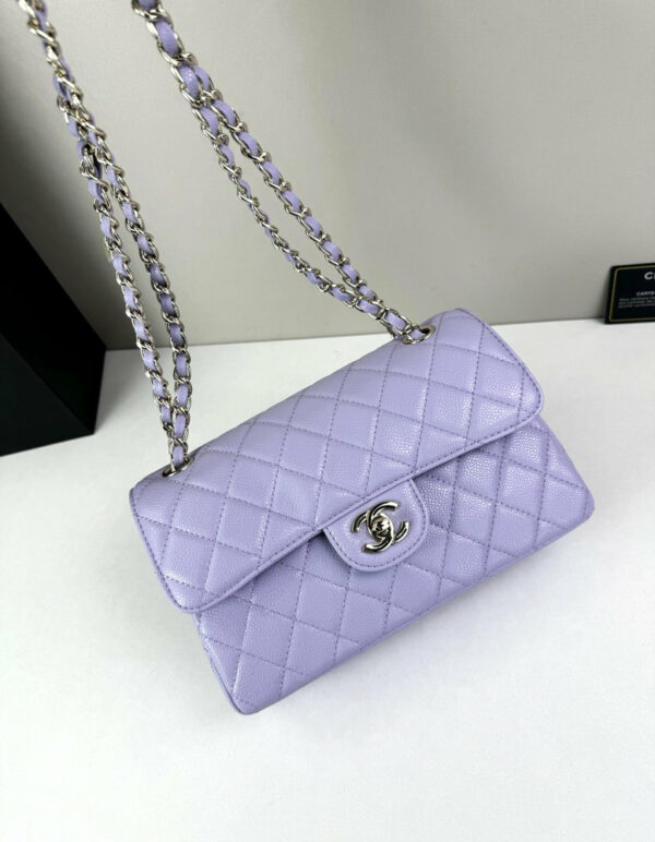 CN Classic Small Flap Bag 1110 BC CN Classic Small Flap Bag 1110 BC
