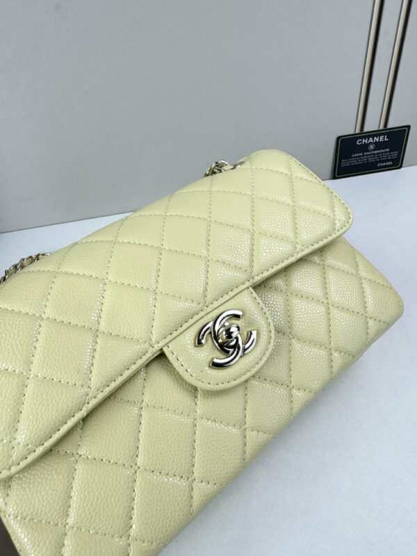 CN Classic Small Flap Bag 1110 BC CN Classic Small Flap Bag 1110 BC