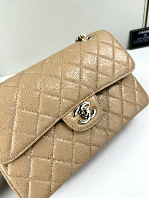 CN Classic Small Flap Bag 1110 BC CN Classic Small Flap Bag 1110 BC