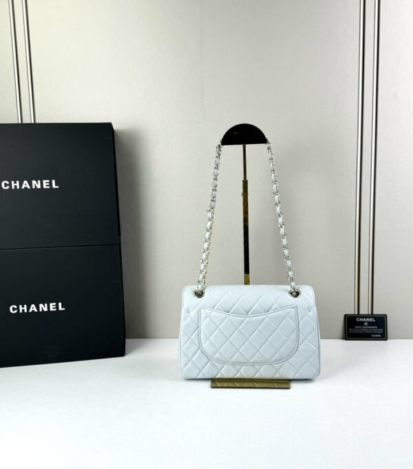 CN Classic Small Flap Bag 1110 BC CN Classic Small Flap Bag 1110 BC