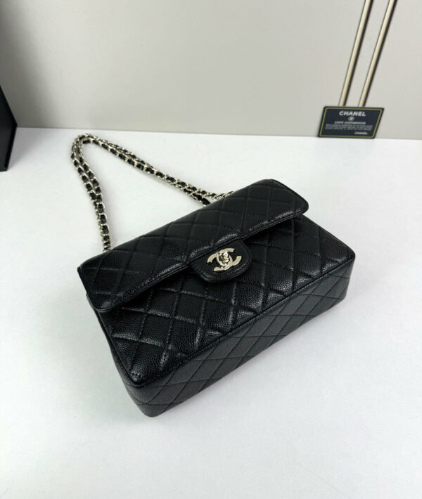 CN Classic Small Flap Bag 1110-1 BC CN Classic Small Flap Bag 1110-1 BC