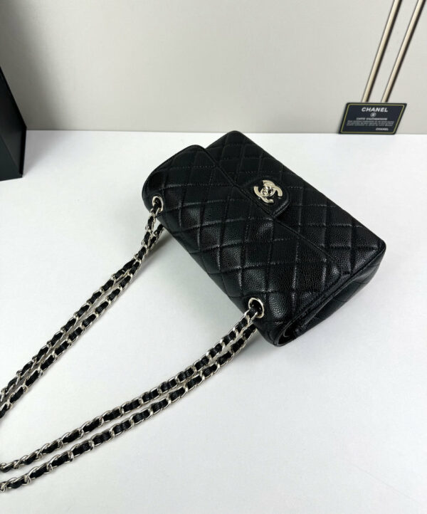 CN Classic Small Flap Bag 1110-1 BC CN Classic Small Flap Bag 1110-1 BC