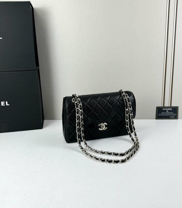 CN Classic Small Flap Bag 1110-1 BC CN Classic Small Flap Bag 1110-1 BC