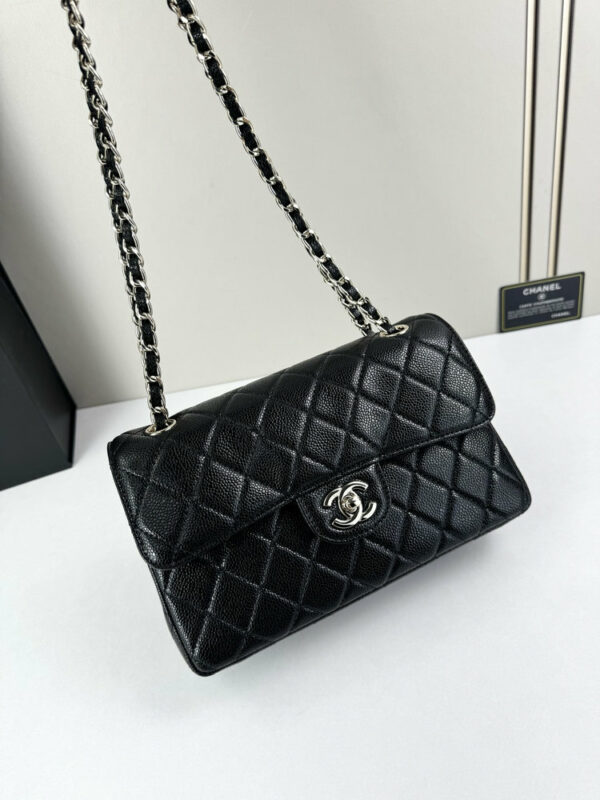 CN Classic Small Flap Bag 1110-1 BC CN Classic Small Flap Bag 1110-1 BC