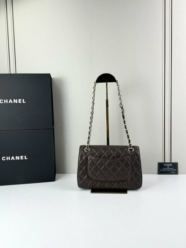 CN Classic Small Flap Bag 1110-1 BC CN Classic Small Flap Bag 1110-1 BC