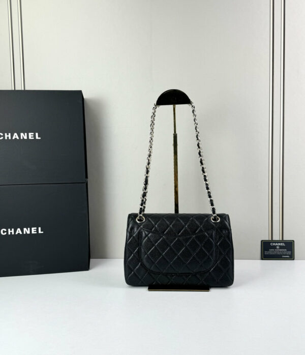 CN Classic Small Flap Bag 1110-1 BC CN Classic Small Flap Bag 1110-1 BC