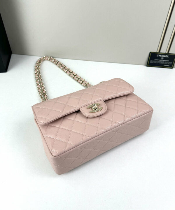 CN Classic Small Flap Bag 1110-1 BC CN Classic Small Flap Bag 1110-1 BC