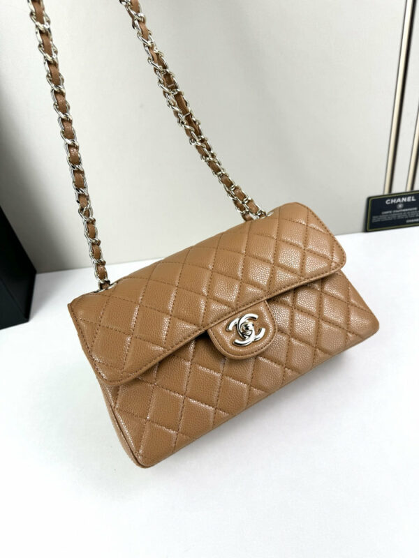 CN Classic Small Flap Bag 1110-1 BC CN Classic Small Flap Bag 1110-1 BC