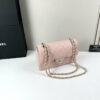CN Classic Small Flap Bag 1110-1 BC CN Classic Small Flap Bag 1110-1 BC