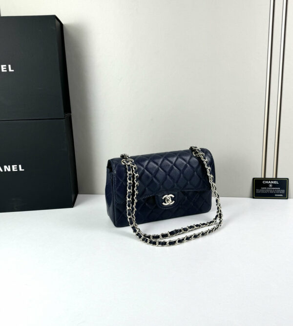 CN Classic Small Flap Bag 1110-1 BC CN Classic Small Flap Bag 1110-1 BC