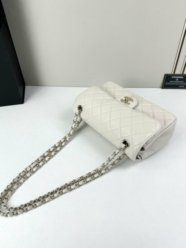 CN Classic Small Flap Bag 1110-1 BC CN Classic Small Flap Bag 1110-1 BC