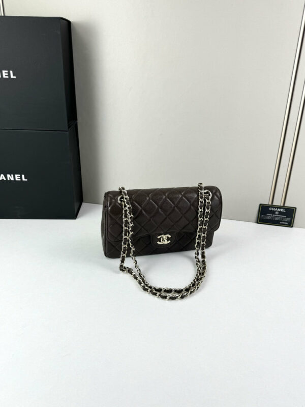 CN Classic Small Flap Bag 1110-1 BC CN Classic Small Flap Bag 1110-1 BC