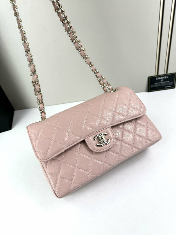 CN Classic Small Flap Bag 1110-1 BC CN Classic Small Flap Bag 1110-1 BC
