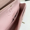 CN Classic Small Flap Bag 1110-1 BC CN Classic Small Flap Bag 1110-1 BC