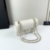 CN Classic Small Flap Bag 1110-1 BC CN Classic Small Flap Bag 1110-1 BC