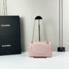 CN Classic Small Flap Bag 1110-1 BC CN Classic Small Flap Bag 1110-1 BC
