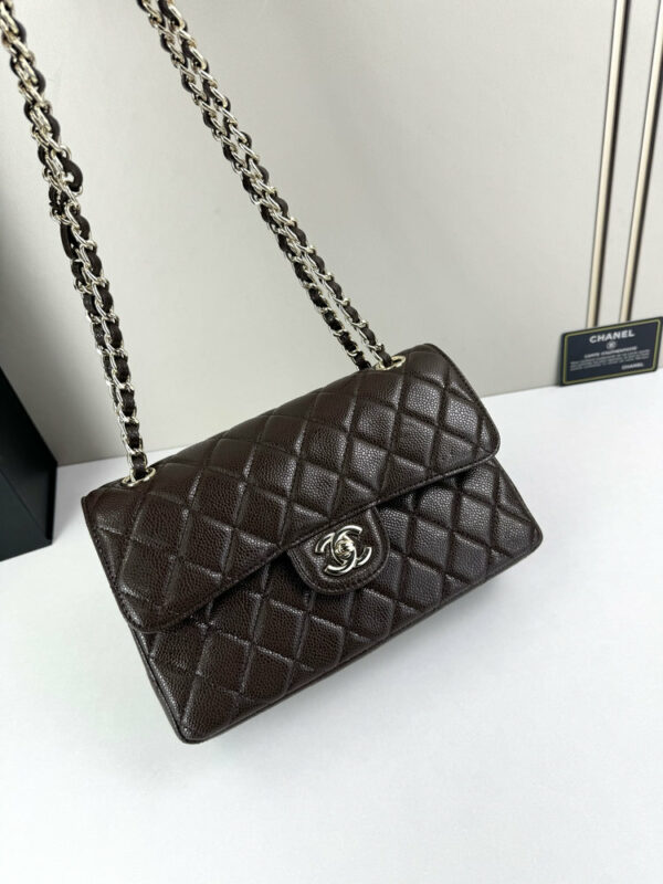 CN Classic Small Flap Bag 1110-1 BC CN Classic Small Flap Bag 1110-1 BC