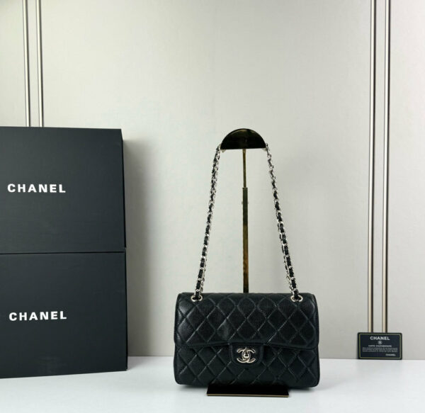 CN Classic Small Flap Bag 1110-1 BC CN Classic Small Flap Bag 1110-1 BC