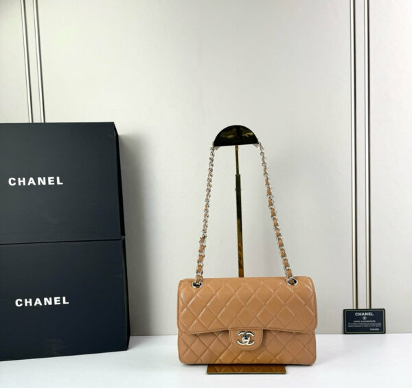 CN Classic Small Flap Bag 1110-1 BC CN Classic Small Flap Bag 1110-1 BC