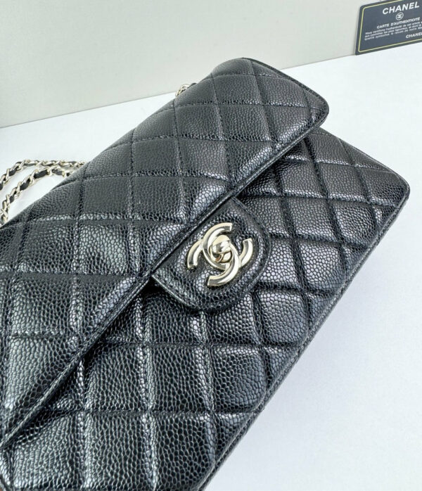 CN Classic Small Flap Bag 1110-1 BC CN Classic Small Flap Bag 1110-1 BC