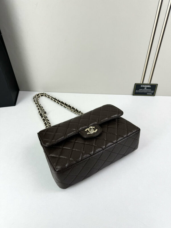 CN Classic Small Flap Bag 1110-1 BC CN Classic Small Flap Bag 1110-1 BC