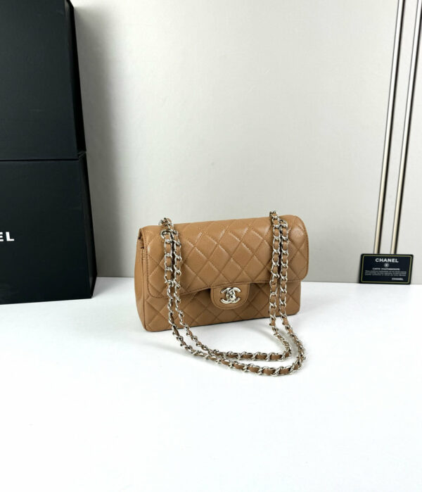 CN Classic Small Flap Bag 1110-1 BC CN Classic Small Flap Bag 1110-1 BC