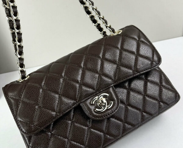 CN Classic Small Flap Bag 1110-1 BC CN Classic Small Flap Bag 1110-1 BC