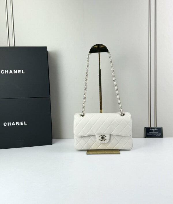 CN Classic Small Flap Bag 1110-1 BC CN Classic Small Flap Bag 1110-1 BC