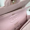 CN Classic Small Flap Bag 1110-1 BC CN Classic Small Flap Bag 1110-1 BC