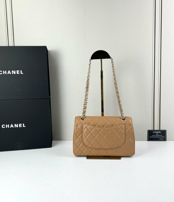 CN Classic Small Flap Bag 1110-1 BC CN Classic Small Flap Bag 1110-1 BC