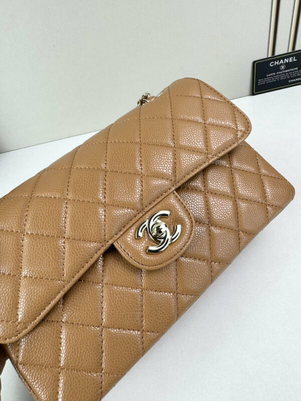 CN Classic Small Flap Bag 1110-1 BC CN Classic Small Flap Bag 1110-1 BC