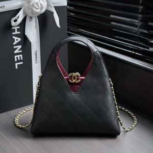 CN Mini Hobo Flap Bag with Top Handle AS6392 BC