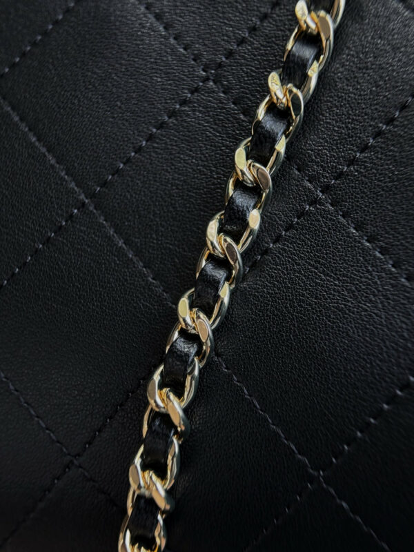 CN Mini Hobo Flap Bag with Top Handle AS6392 BC CN Mini Hobo Flap Bag with Top Handle AS6392 BC